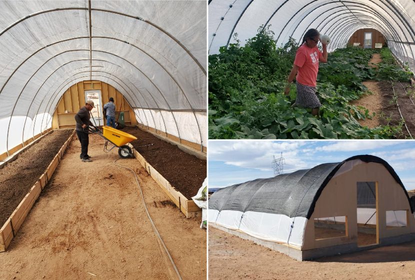 ALF Navajo Nation Hoop Houses