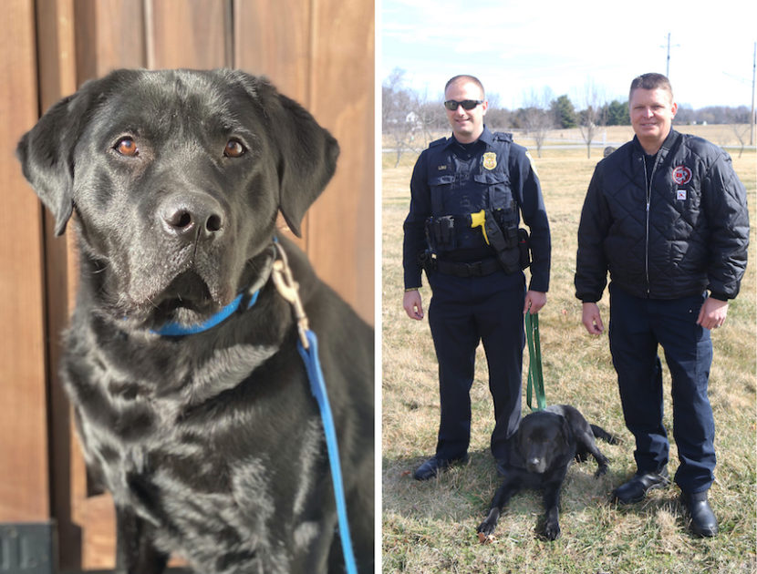 New Police Dog Tor Is Ready to Fight Human Trafficking