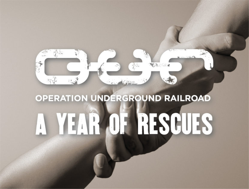 Recapping a Year of Rescues