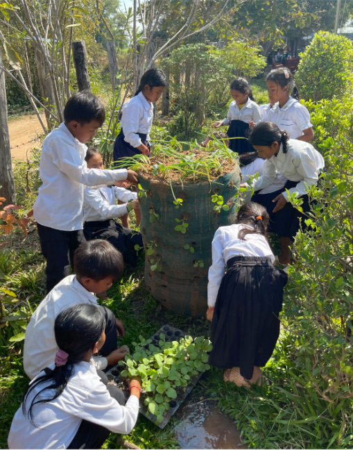 Tower gardens