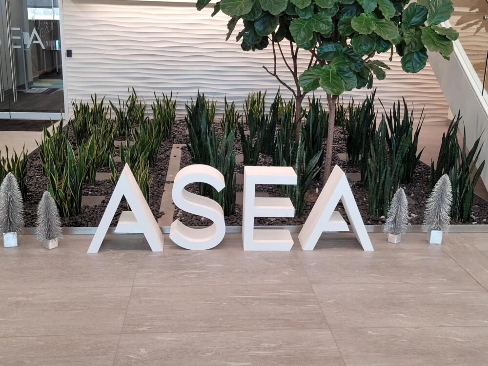 ASEA decorative letters for the holidays.